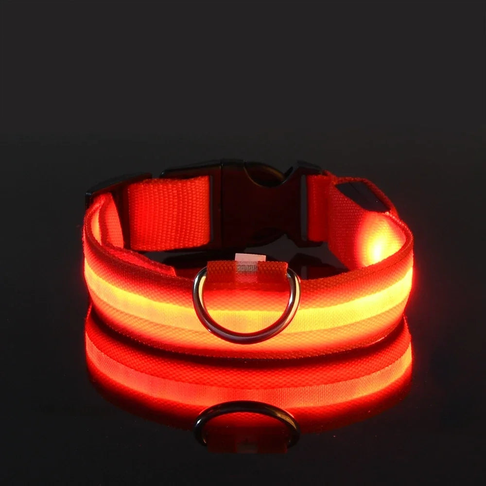 Dog Collar Nylon LED Night Safety Flashing Glow in the Dark Pet Dog Leash Pet Dogs Luminous Fluorescent Dog Accessories Collar